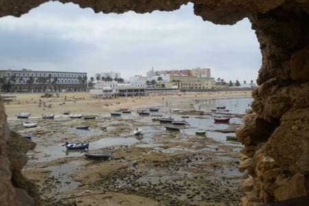 La Casa Del Arte Daire Cadiz Dış mekan fotoğraf